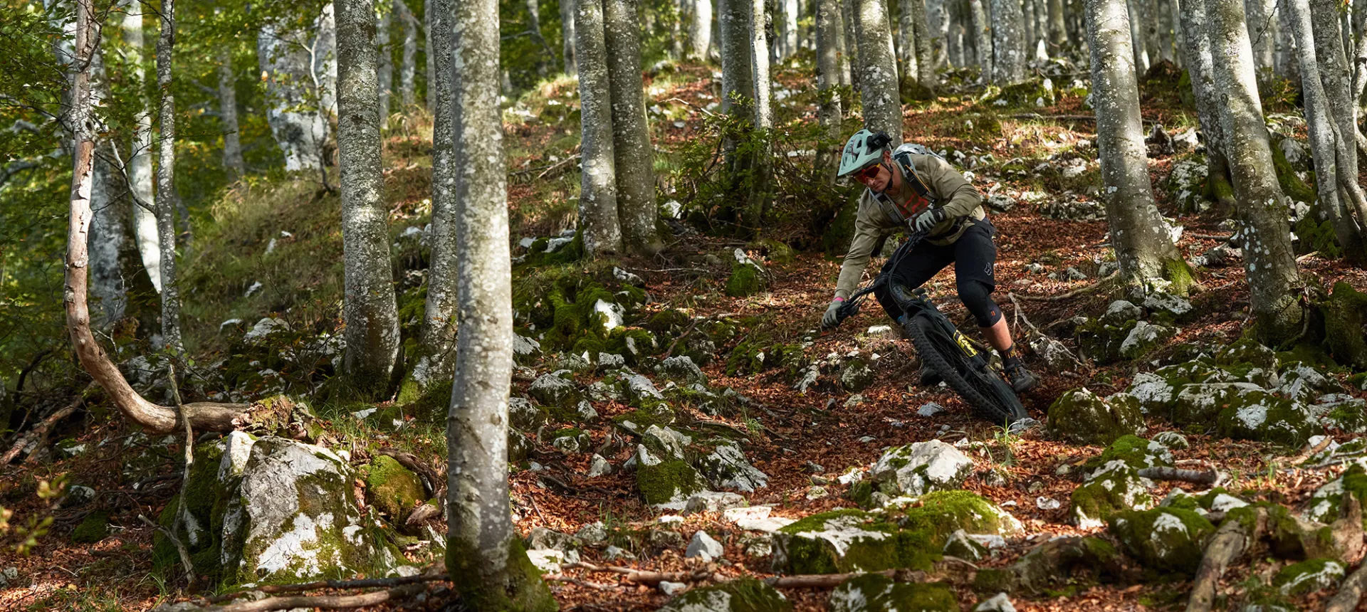CODY TAPERED | Dartmoor-bikes